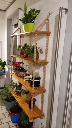 several potted plants are arranged on shelves in the corner of a room with tile flooring