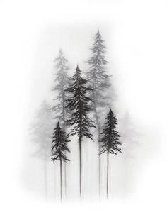 black and white photograph of trees in fog