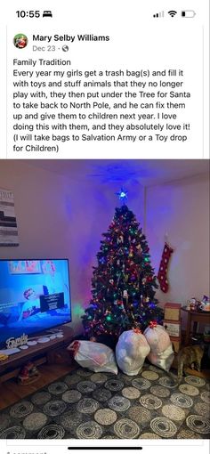 a christmas tree is in front of a television