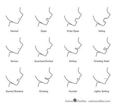 the different types of face shapes for each woman's face, including nose and mouth