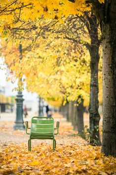 a green bench sitting in the middle of a park filled with yellow and orange leaves