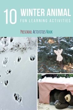 Winter Cognitive Activities For Toddlers, Winter Animals Preschool Crafts, Animals In Winter Preschool, Winter Animals Preschool Activities, Winter Animals Kindergarten, Animals For Preschool, Animals Preschool Activities, Winter Preschool Activities, Winter Animals Preschool