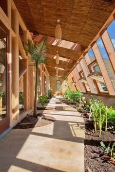 the walkway is lined with plants and windows