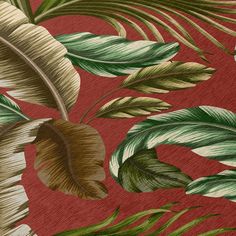 a red background with green and white tropical leaves on the bottom right hand corner is an image of a palm tree