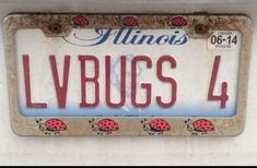 the license plate for illinois's lybugs 4 has ladybirds on it