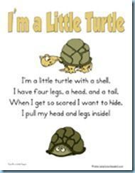 i'm a little turtle poem with two turtles on the bottom and one turtle in the middle