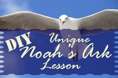 a white bird flying through a blue sky with the words unique noah's ark lesson