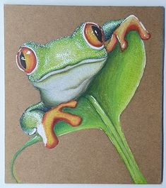 a drawing of a frog sitting on top of a green leaf with its eyes open