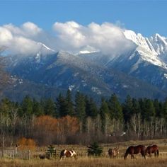 Big Sky Montana Aesthetic, Montana Mountains Aesthetic, Montana Aesthetic, Mountains Montana, Montana Living, Montana Vacation, Montana Mountains, Montana Homes, Big Sky Montana