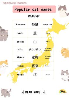 an illustrated map with cats and other animals in japanese characters, including the name of each cat