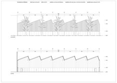 three diagrams showing the various stages of planting and how they are used to grow trees