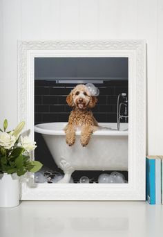 a dog is sitting in the bathtub with bubbles on its head and paws hanging out