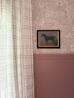 a horse is framed on the wall next to a window in a room with pink walls