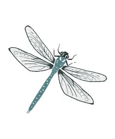 a blue dragonfly sitting on top of a white surface