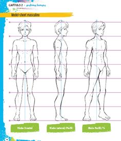 the human body is shown in three different positions, including one male and one female