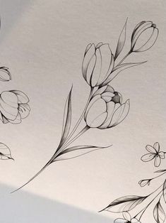 some black and white drawings of flowers on a sheet of paper with watercolor pencils