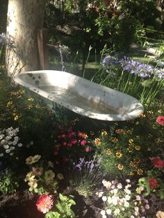 an old bathtub sitting in the middle of flowers next to a tree and shrubbery