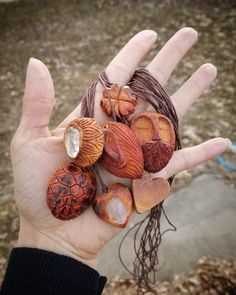 a person holding up their hand with shells on it and other things in the palm