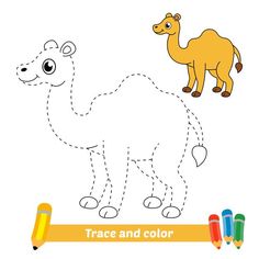 Trace and color for kids, camel vector | Premium Vector #Freepik #vector #school #baby #book #kids Drawing Worksheets For Kids, Happy Birthday Friend Funny, Baby Camel, Preschool Colors, Alphabet Activities Preschool