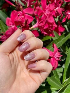 Velvet Nails, Nails Today, Cute Summer Nails, Nail Art Wedding, Summer Nails Colors, Neon Nails, The Velvet, Short Acrylic Nails, The Salon