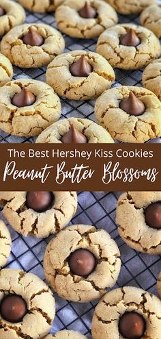 the best hershey kiss cookies peanut butter blossoms are on a cooling rack and ready to be eaten