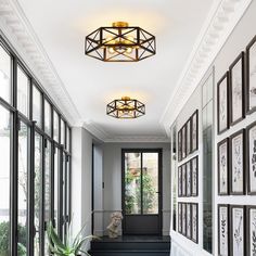 a hallway with pictures on the wall and plants in vases next to it,