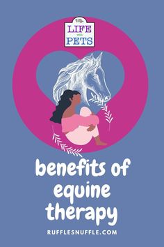 the benefits of equine therapy for horses and their owners, including horse care