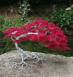 Handmade aluminum wire bonsai 120 aluminum wire for trunk 120 sheets 25cm high 35cm wide Possibility of making personalized orders: dimensions, colors, shape. Free shipping in France Aluminum Wire Sculpture, Sculptures Sur Fil, Bonsai Making, Wire Bonsai, Wire Sculpture, Art Objects, Objet D'art, Bonsai Tree, Art Object