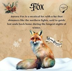 a fox sitting on top of snow covered ground next to a sign that says, aurora fox