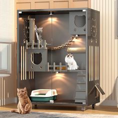 a cat sitting on the floor in front of a cabinet with several cats inside it