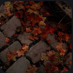 an image of leaves on the ground in front of a brick walkway with a cell phone