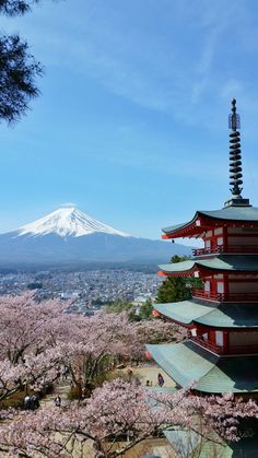 a pagoda with cherry blossoms in the foreground and mount fuji in the background