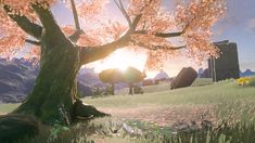 the sun shines brightly behind a tree in an animated environment with grass, rocks and flowers