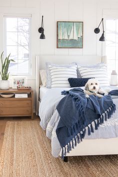 a white dog laying on top of a bed