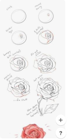 the process for drawing roses is shown in this screenshoter's screen shot