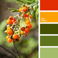 the color scheme is orange, green and yellow with berries on it in shades of red