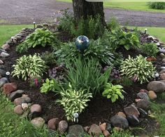 a garden with rocks and plants around the base of a tree in front of a house