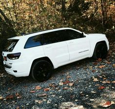 a white jeep parked in the middle of a forest with leaves on it's ground