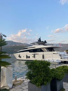 a large white boat is docked in the water next to some trees and bushes on the shore