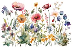 watercolor painting of colorful flowers on white background