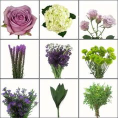 nine different types of flowers are shown in this collage, including roses and lavenders