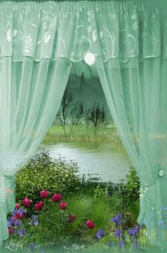 an open window with green curtains and pink flowers in the foreground is a pond