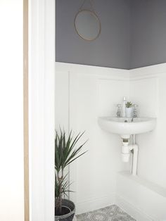 a bathroom with a sink, mirror and potted plant on the floor in front of it