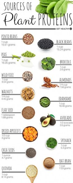 Plant Proteins, Tomato Nutrition, Calendula Benefits, Coconut Health Benefits, Sport Nutrition, Chicken Meal Prep, Egg Diet, Benefits Of Coconut Oil