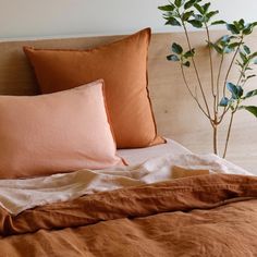 a bed topped with pillows and blankets next to a plant