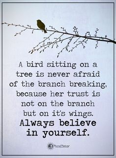 a bird sitting on a tree branch with a quote from the book, always believe in yourself