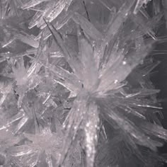 close up view of ice crystals in black and white photo with focus on the center