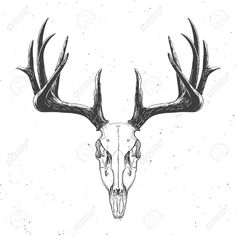 a deer skull with antlers on it's head in black and white ink