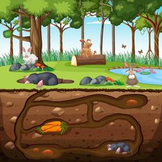 cartoon scene with animals in the forest