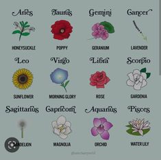 an image of zodiac signs with flowers and names on them, all in different colors